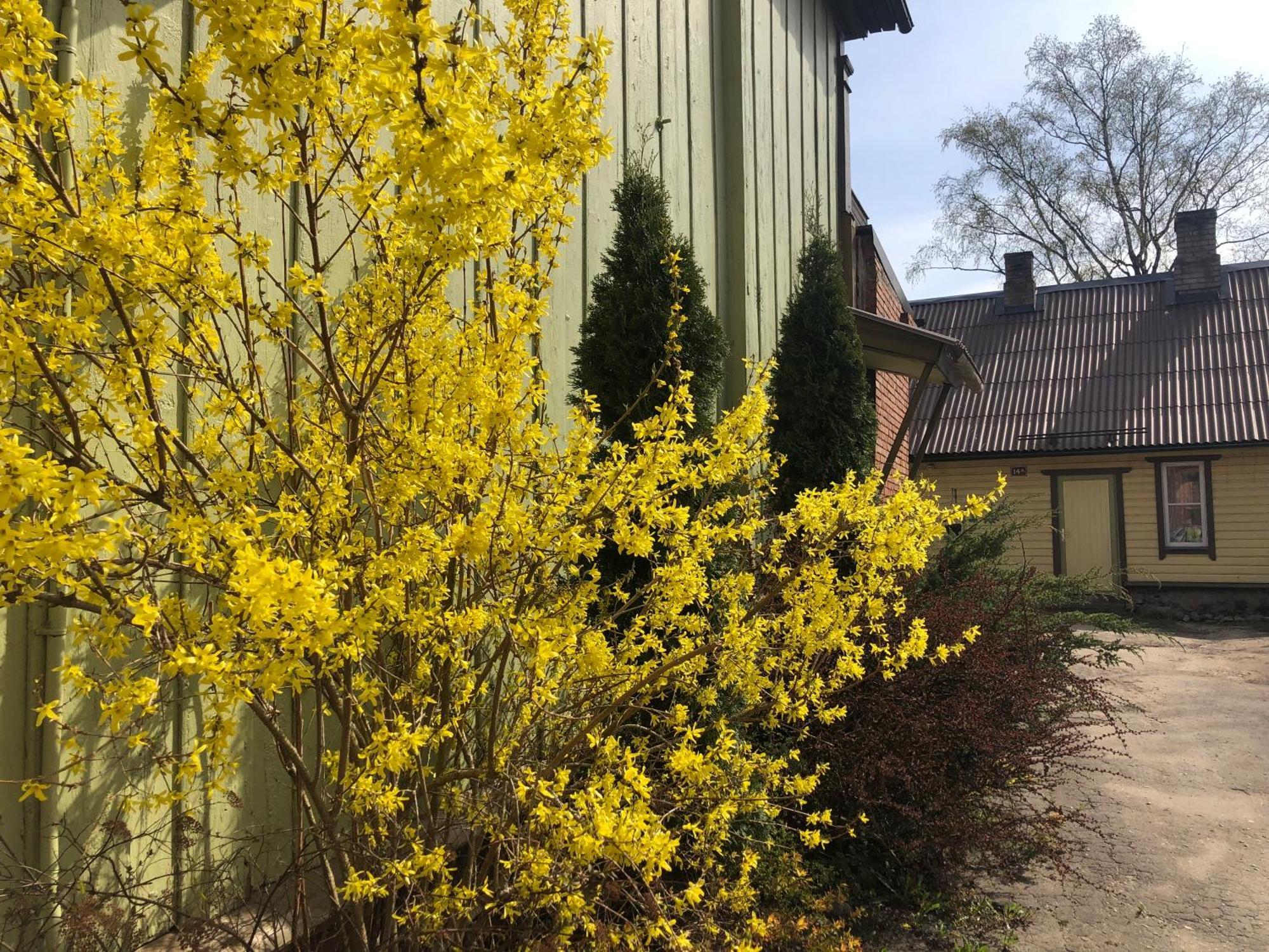 Posti Old Town Apartment Viljandi  Bagian luar foto